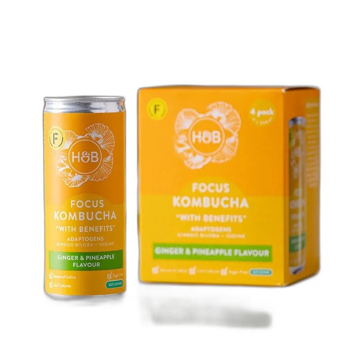 Kombucha category product example